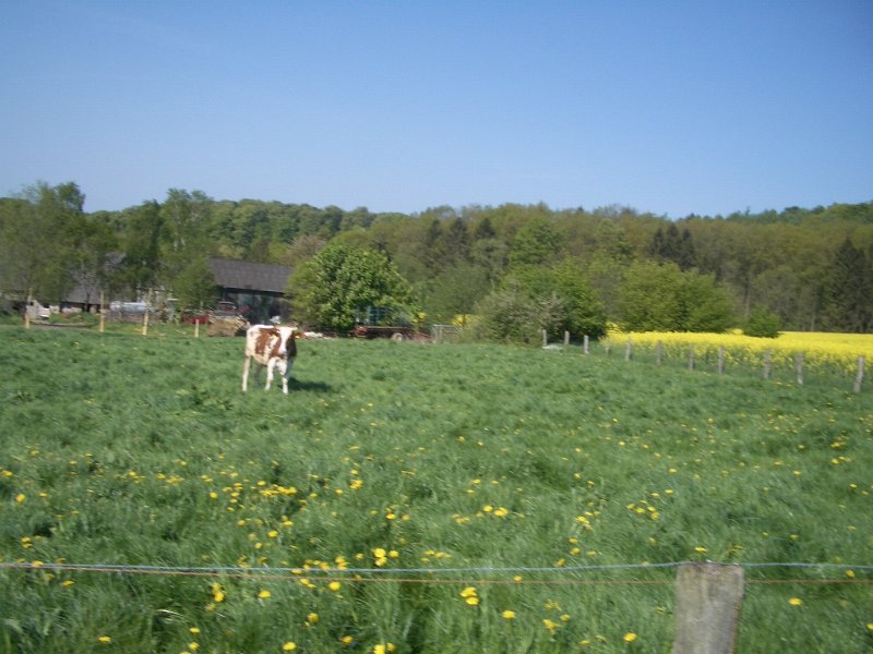 Bungsberg-CTF 514